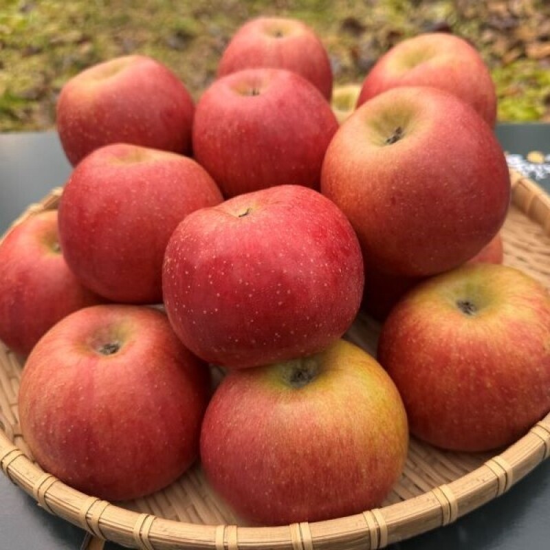 토고미 영농조합법인,화천 토고미마을 좋아농원 부사사과 (5kg/10kg)