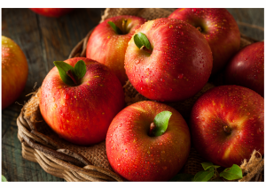 강원도 화천 토고미마을 언덕농원 부사사과 설 특가 할인(10과/12과)